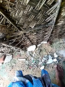 Snapshot of dolphiinn chatting on 11/30/25, 04:27 dolphiinn online show from 11/30/25, 04:27