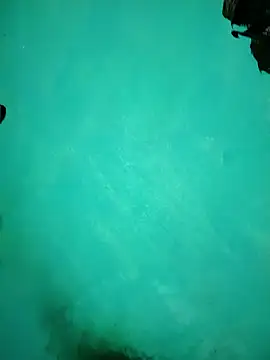 Arti13A online show from 01/17/26, 03:17