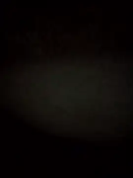 RevokingWaverer online show from 02/03/26, 12:10