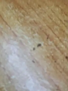 Markroco696 online show from 10/06/25, 03:09