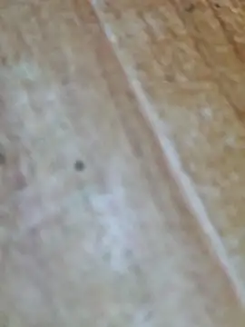 Markroco696 online show from 10/09/25, 04:10