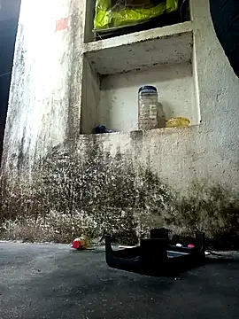 cute diya 12 online show from 12/14/25, 02:50