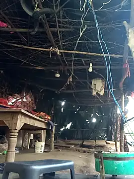 cute diya 12 online show from 12/17/25, 03:01