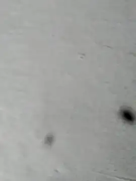 Mollysdick online show from 04/16/26, 02:18