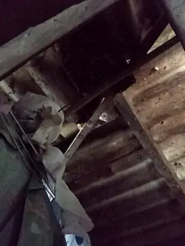 Snapshot of _Helala_ chatting on 10/21/25, 11:49 Helala online show from 10/21/25, 11:49