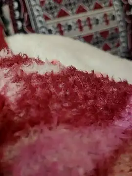 Hot modal online show from 11/28/25, 04:53