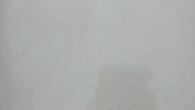 scarlett646 online show from 11/19/25, 03:06