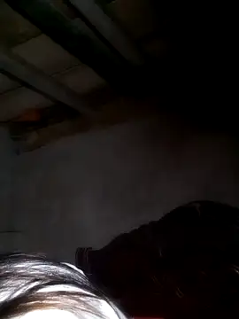 misa 00 online show from 02/24/26, 08:29