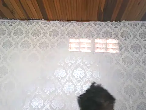 Snapshot of leandro477 chatting on 09/13/25, 09:14 leandro477 online show from 09/13/25, 09:14