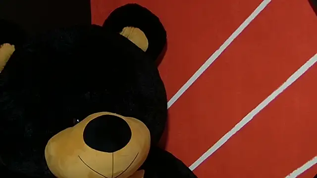 sany noa online show from 11/12/25, 07:24