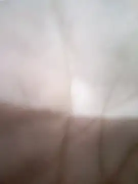 KitedSeizure online show from 01/17/26, 06:18