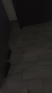 Snapshot of ChicoDex3 chatting on 11/04/25, 04:17 ChicoDex3 online show from 11/04/25, 04:17