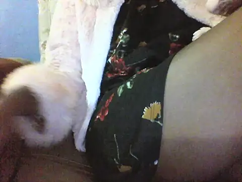 Snapshot of Moongodessy chatting on 03/12/26, 05:46 Moongodessy online show from 03/12/26, 05:46