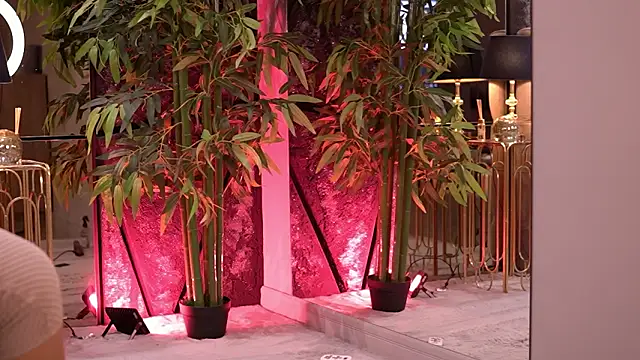 Snapshot of StephieRouse chatting on 03/12/26, 07:36 StephieRouse online show from 03/12/26, 07:36