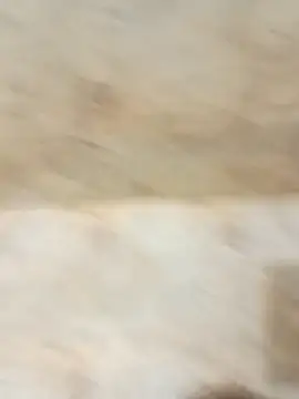 king godgm online show from 12/20/25, 01:34