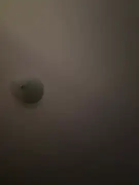 Snapshot of Troydaddy578 chatting on 04/01/26, 04:24 Troydaddy578 online show from 04/01/26, 04:24