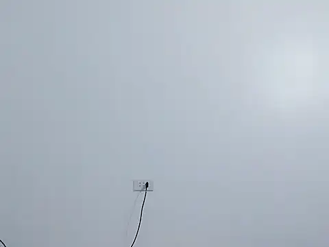 Snapshot of Siglemom_sexy chatting on 04/01/26, 07:55 Siglemom sexy online show from 04/01/26, 07:55