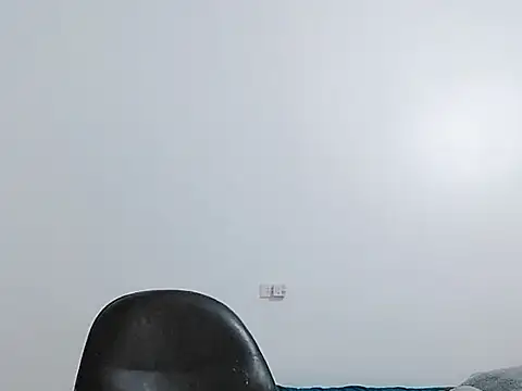 Snapshot of Siglemom_sexy chatting on 04/15/26, 08:42 Siglemom sexy online show from 04/15/26, 08:42