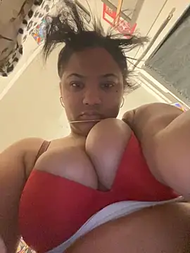 StylishEchium online show from 11/24/25, 08:52