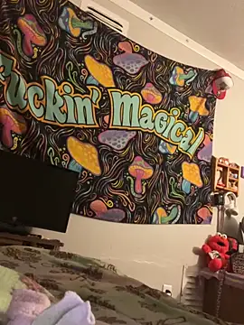 StylishEchium online show from 03/11/26, 09:26