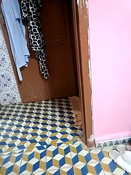 Snapshot of Mayamimi chatting on 11/08/25, 09:31 Mayamimi online show from 11/08/25, 09:31