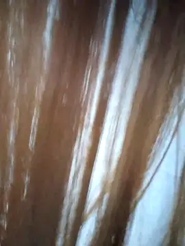 Snapshot of midnightmuse-03 chatting on 03/14/26, 01:23 midnightmuse-03 online show from 03/14/26, 01:23