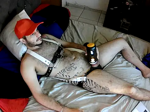 Dolfinhorb online show from 05/04/26, 07:10