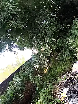 onlymasti00 online show from 11/04/25, 08:57