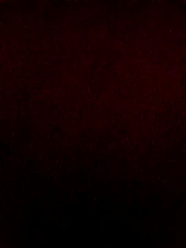 PunjabiSardarBull online show from 02/26/26, 07:13