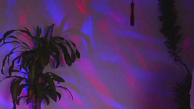 Snapshot of bri_von_dhara__ chatting on 03/07/26, 12:18 bri von dhara online show from 03/07/26, 12:18