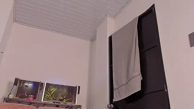 Cj davis  online show from 12/03/25, 02:04