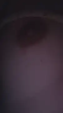 Snapshot of emmup3979 chatting on 11/14/25, 06:17 emmup3979 online show from 11/14/25, 06:17