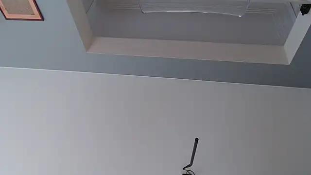 knodli online show from 10/21/25, 11:55