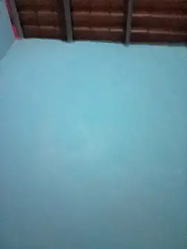 rouse-duque online show from 10/19/25, 11:44