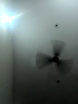 Appypie online show from 09/16/25, 04:41