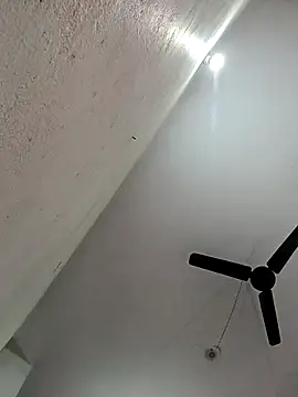 Appypie online show from 11/11/25, 05:51