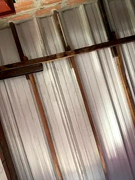 Snapshot of RAKEL37 chatting on 10/06/25, 06:05 RAKEL37 online show from 10/06/25, 06:05