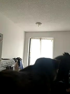 Snapshot of inked_nekoo chatting on 12/03/25, 03:32 inked nekoo online show from 12/03/25, 03:32