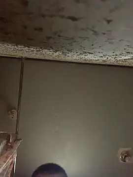 Allinside666 online show from 04/13/26, 06:02