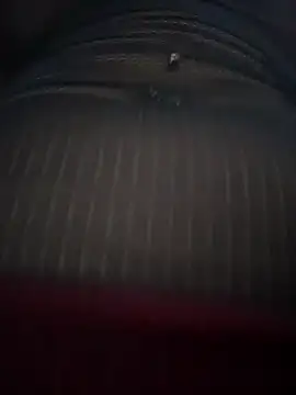 Gaby-Herrera online show from 03/28/26, 08:41