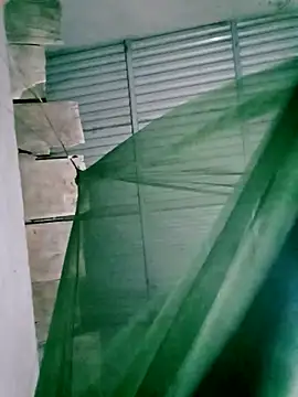 Snapshot of Lisa_pusy chatting on 11/14/25, 12:48 Lisa pusy online show from 11/14/25, 12:48