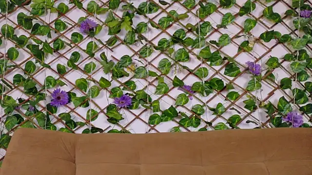 kloe bella online show from 01/13/26, 12:43