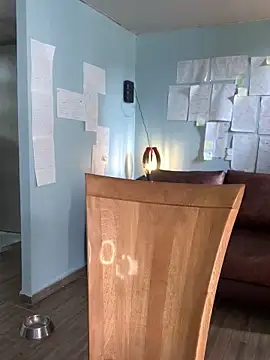 Canneela online show from 11/23/25, 06:08