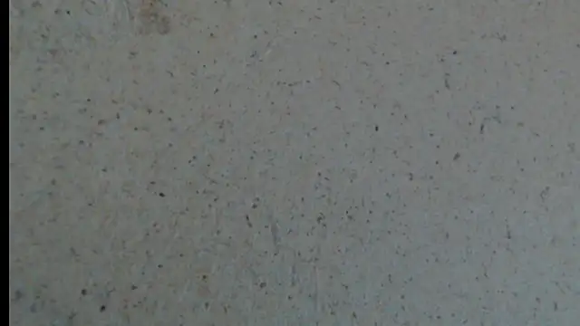 crazy daniela online show from 10/23/25, 08:18