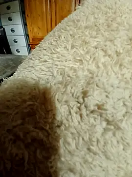 Snapshot of Ahalm chatting on 11/16/25, 02:33 Ahalm online show from 11/16/25, 02:33