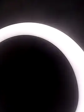 Merlylee online show from 10/15/25, 09:37