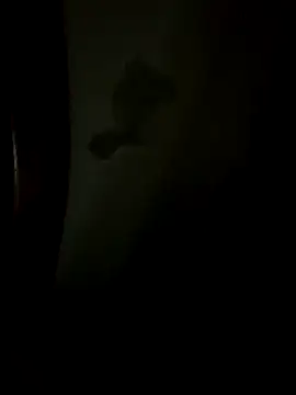 Snapshot of Bruno18cmmmmkk chatting on 12/19/25, 03:46 Bruno18cmmmmkk online show from 12/19/25, 03:46