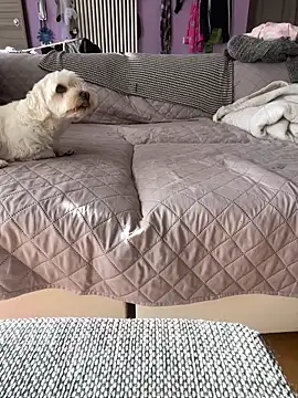 Snapshot of bananasex204 chatting on 10/25/25, 12:02 bananasex204 online show from 10/25/25, 12:02