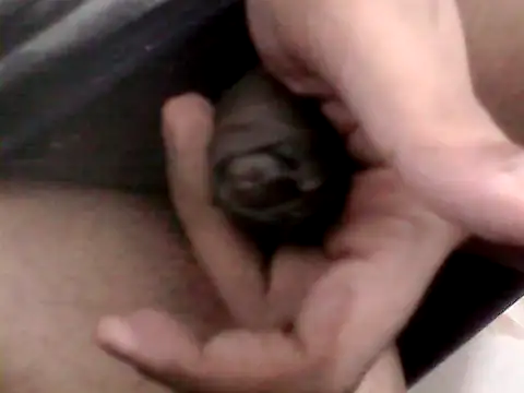 Bakasur 19 online show from 10/09/25, 03:32