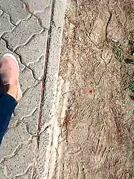 beerant online show from 10/05/25, 05:39